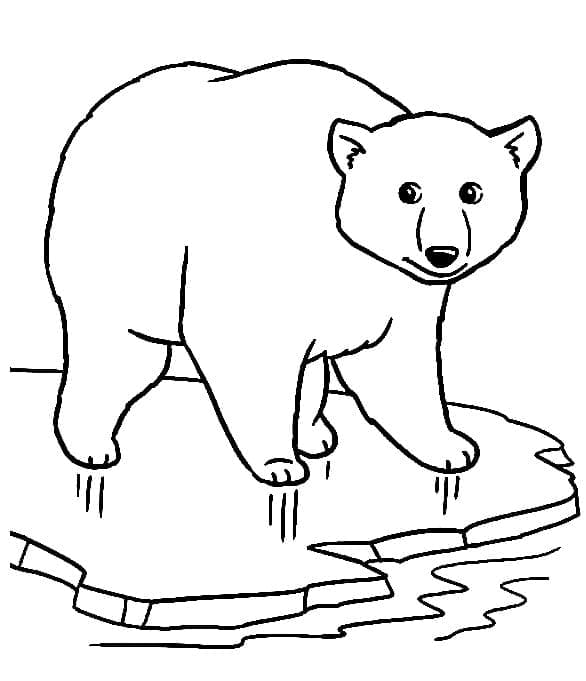Kostenloser Eisbär ausmalbilder