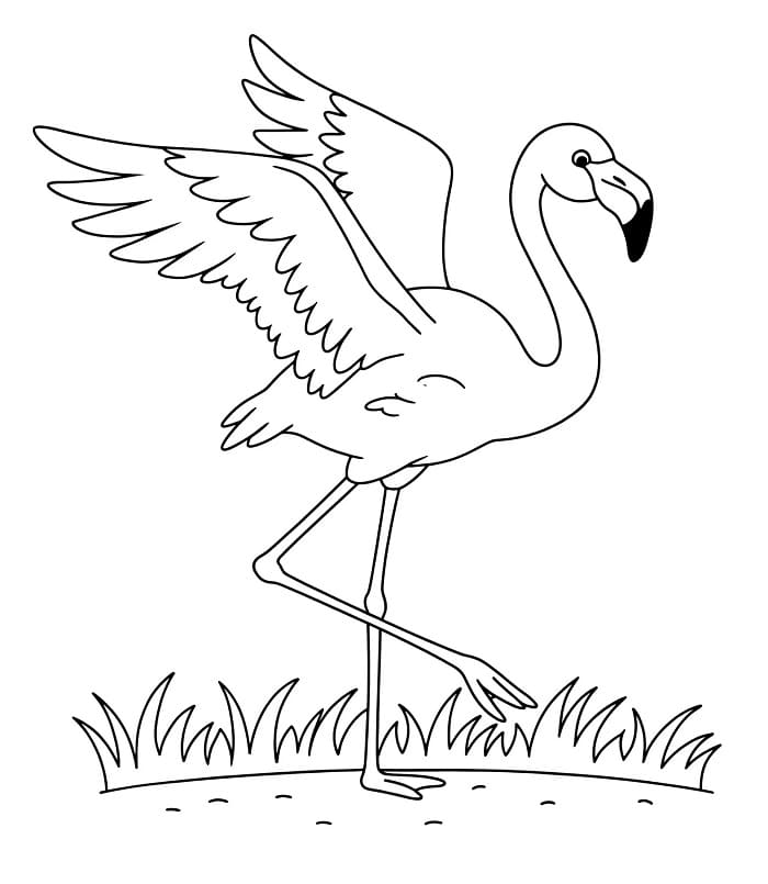 Kostenloser Flamingo zum Ausdrucken ausmalbilder