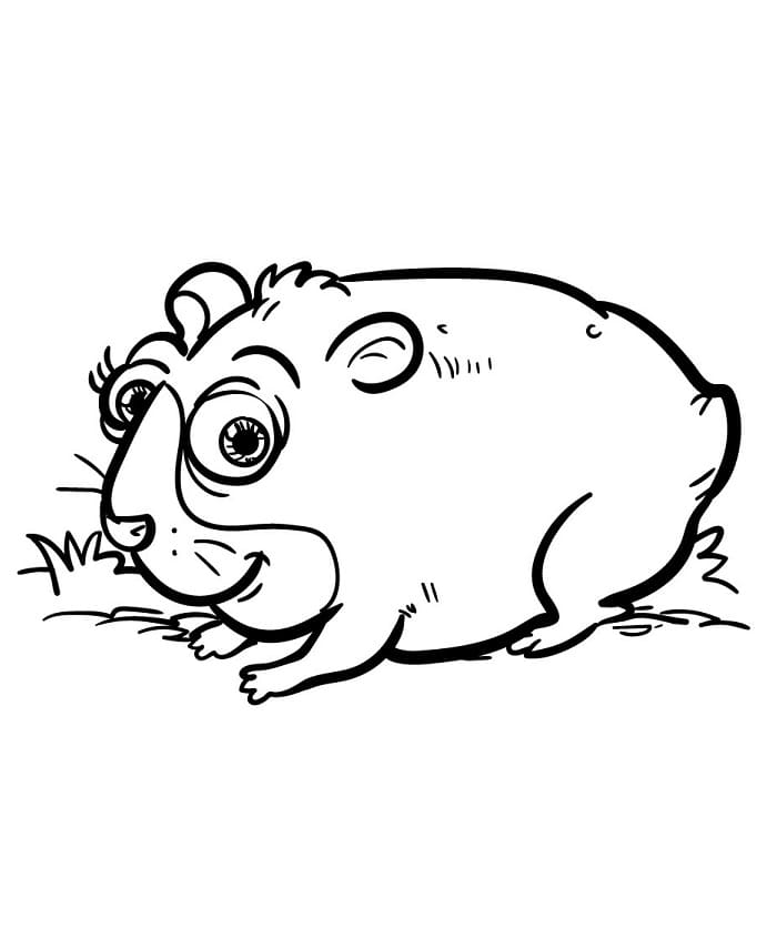 Kostenloser Hamster ausmalbilder