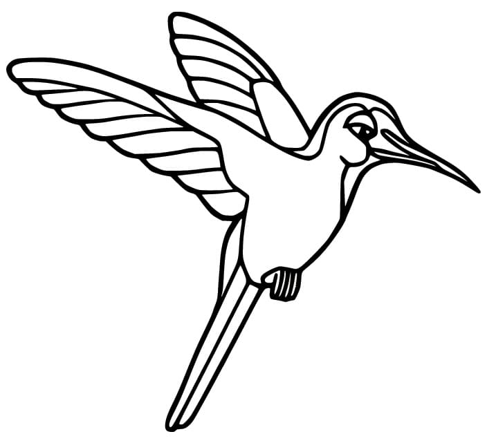 Kostenloser Kolibri zum Ausdrucken ausmalbilder