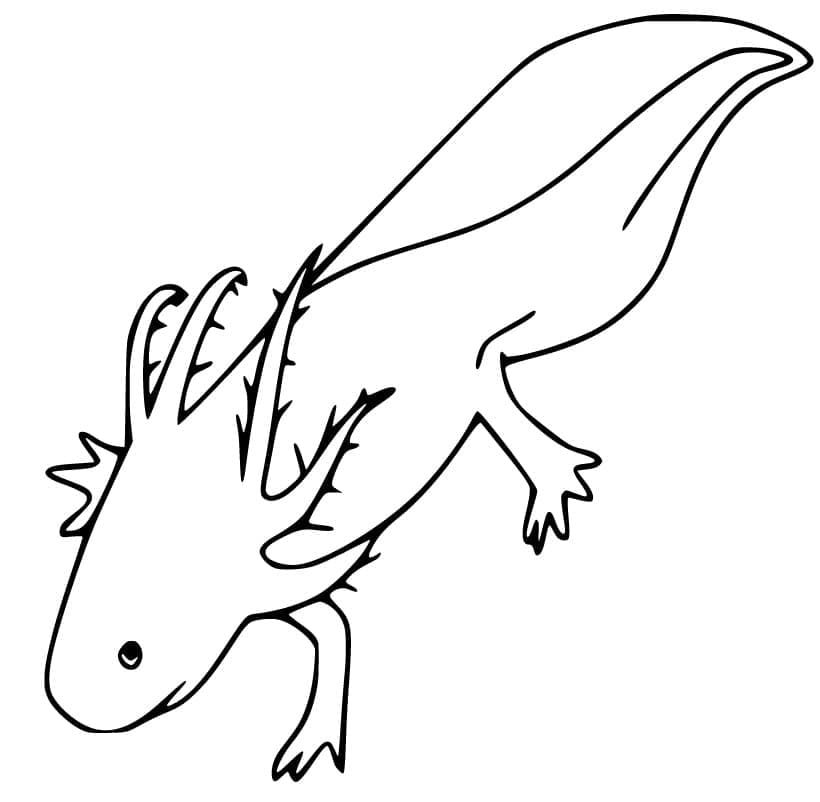 Kostenloses Bild von Axolotl ausmalbilder