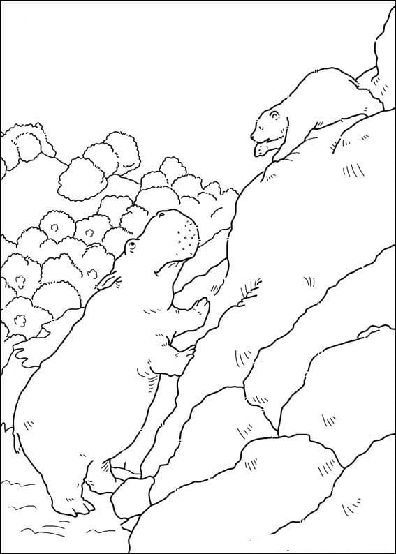 Kostenloses Bild von Der kleine Eisbär ausmalbilder
