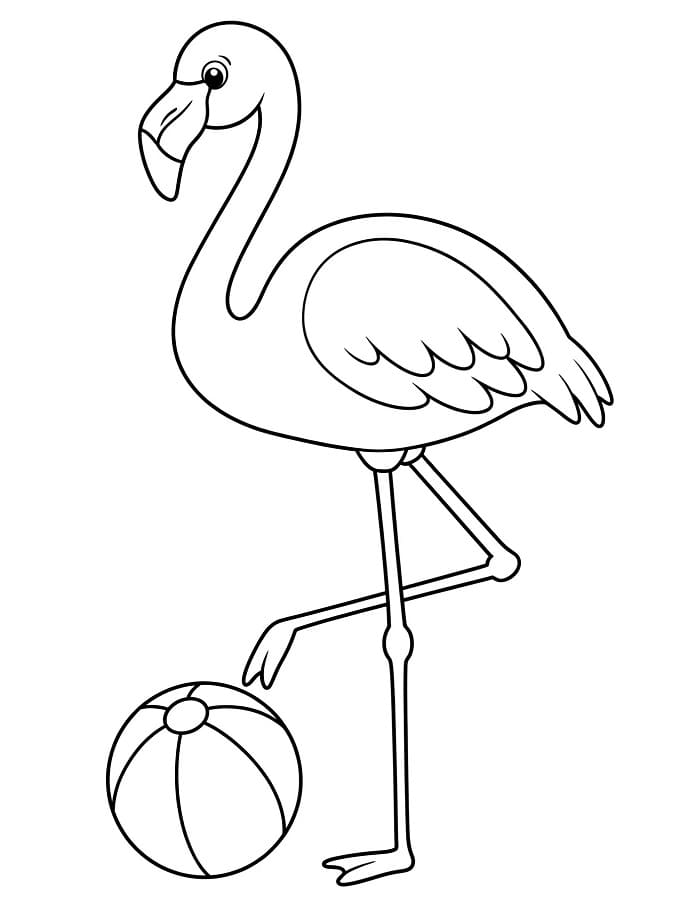 Kostenloses Bild von Flamingo ausmalbilder
