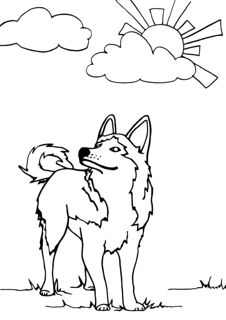 Kostenloses Bild von Husky ausmalbilder