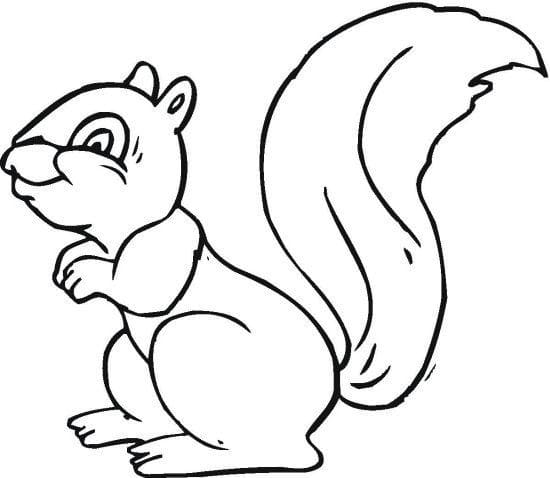 Kostenloses Bild von einem Eichhörnchen ausmalbilder