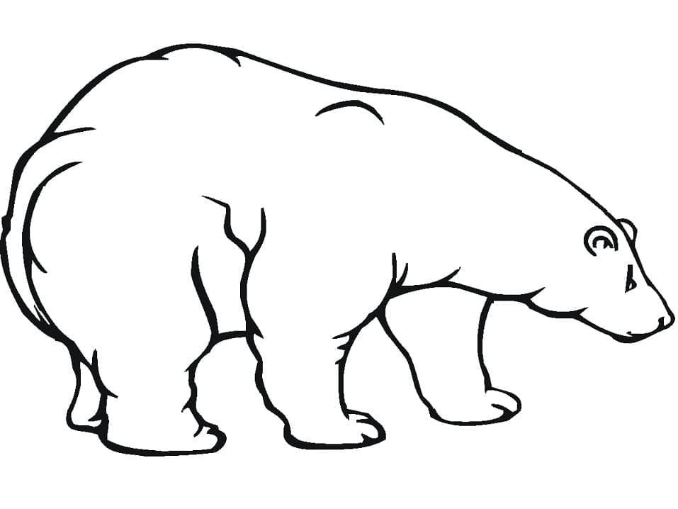 Kostenloses Bild von einem Eisbären ausmalbilder
