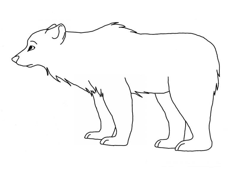 Kostenloses Eisbär-Bild ausmalbilder