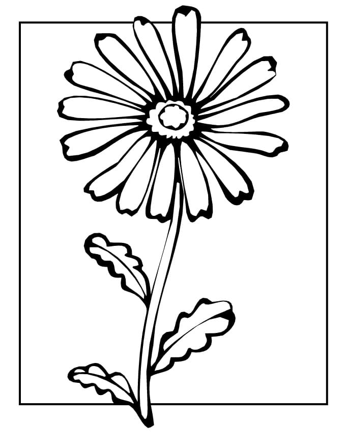 Kostenloses Gänseblümchen zum Ausdrucken ausmalbilder