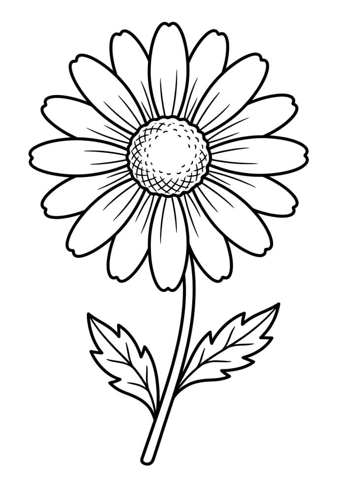 Kostenloses Gänseblümchen ausmalbilder