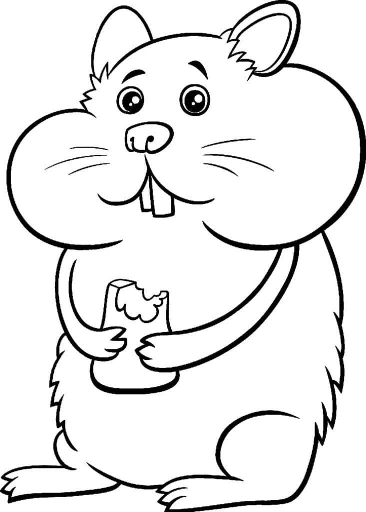 Kostenloses Hamster Bild ausmalbilder