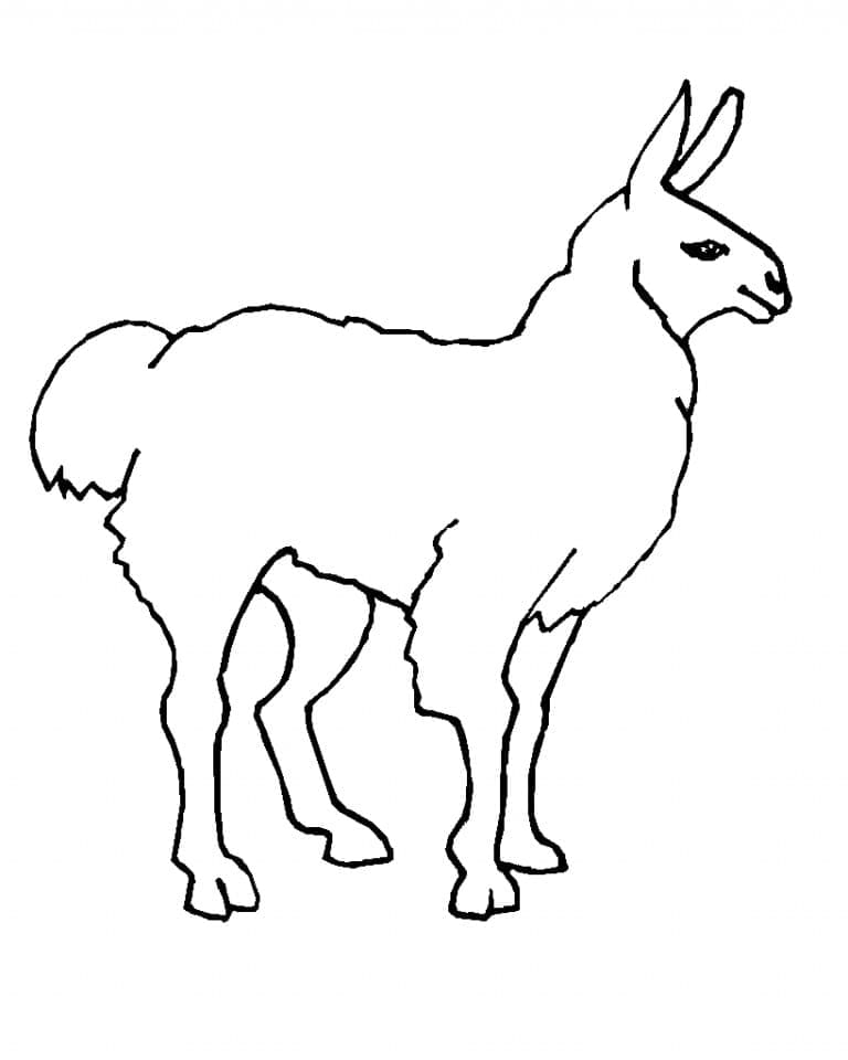 Kostenloses Lama Bild ausmalbilder
