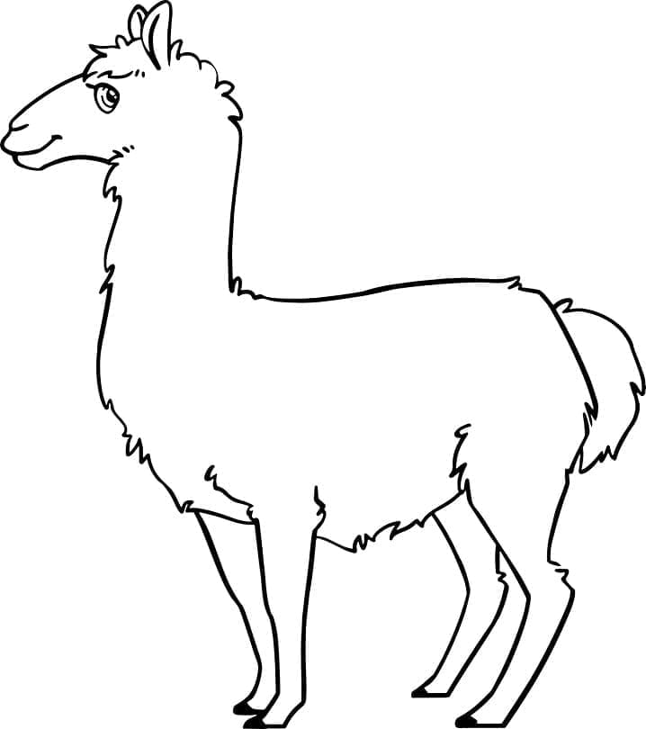 Kostenloses Lama für Kinder ausmalbilder