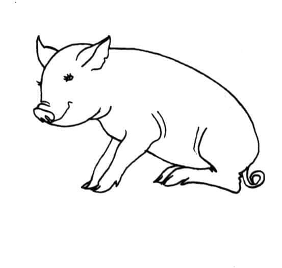 Kostenloses Schwein zum Ausdrucken ausmalbilder