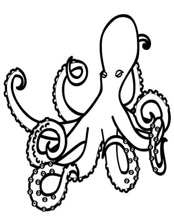 Krake Ausmalbild ausmalbilder