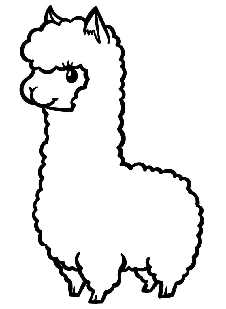 Lama Bild ausmalbilder