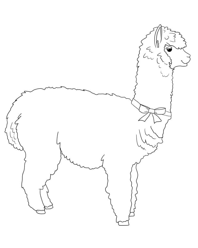 Lama zum Ausdrucken ausmalbilder