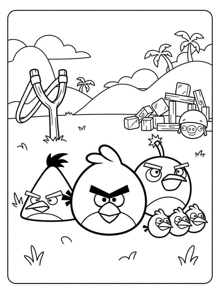 Leichte Angry Birds ausmalbilder