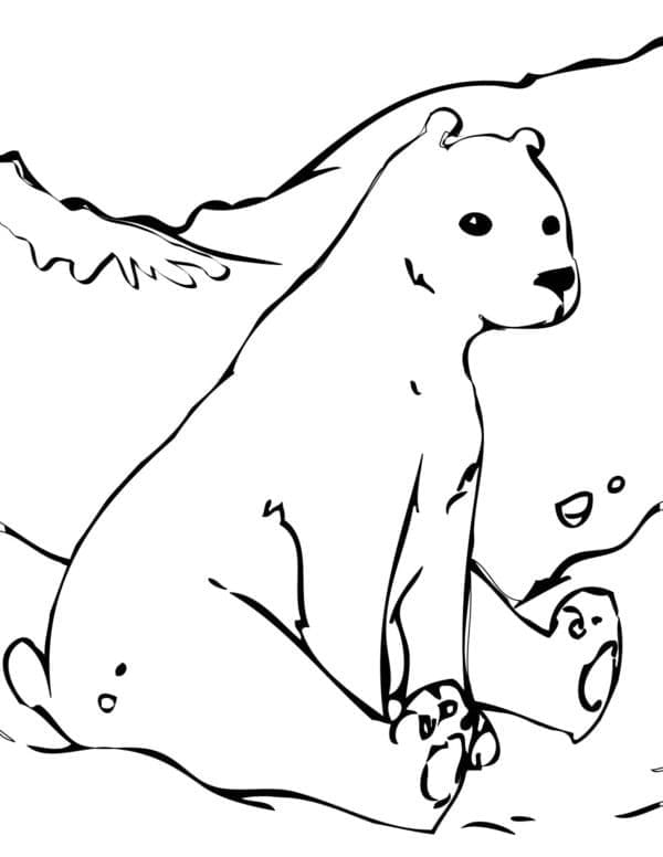 Leichter Eisbär ausmalbilder