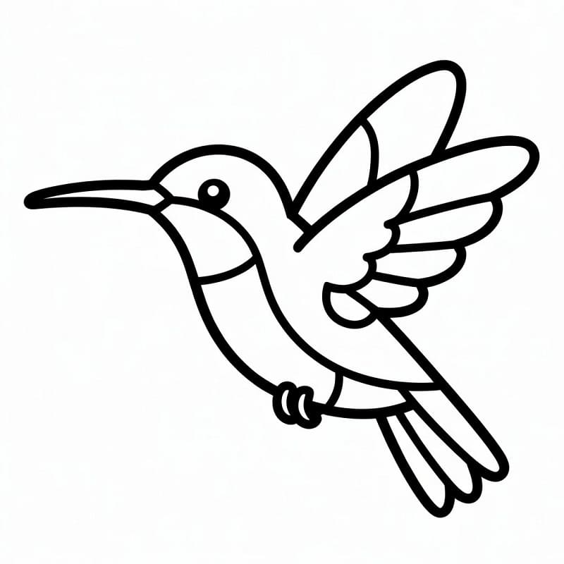 Leichter Kolibri ausmalbilder
