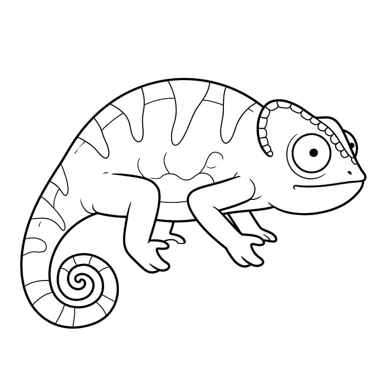 Leichtes Chamäleon ausmalbilder