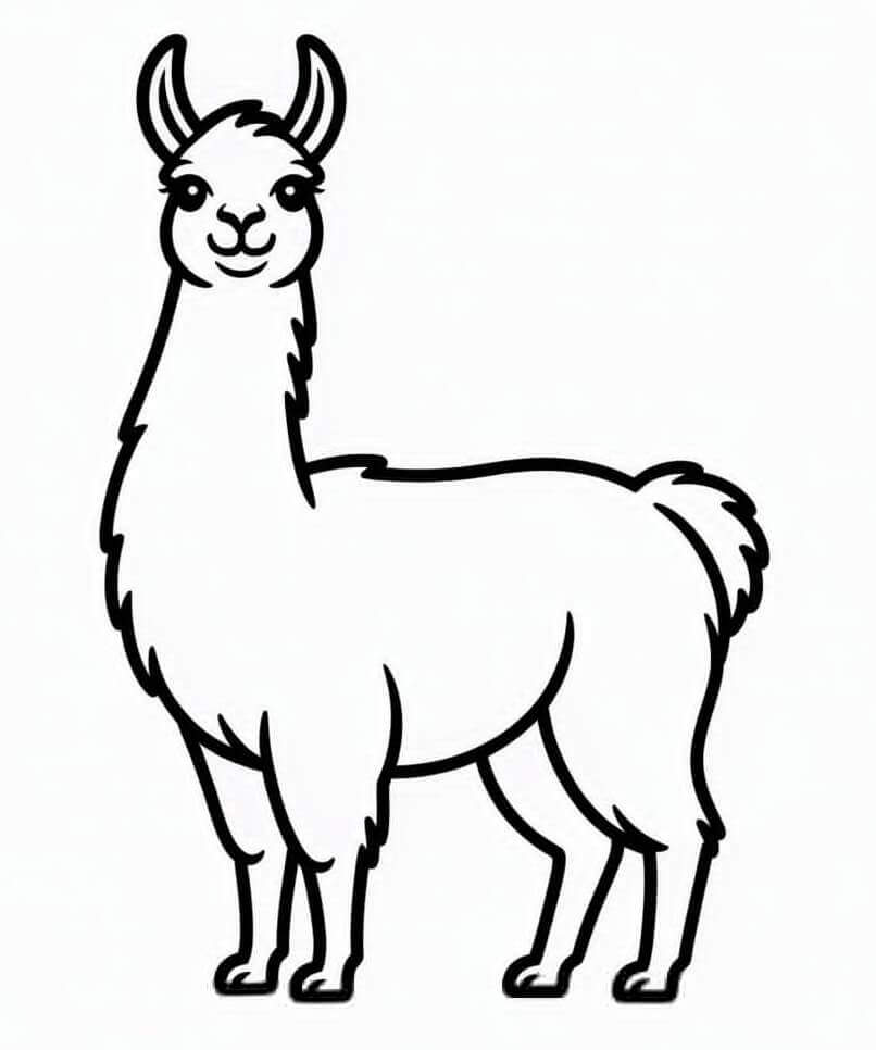 Liebenswertes Lama ausmalbilder