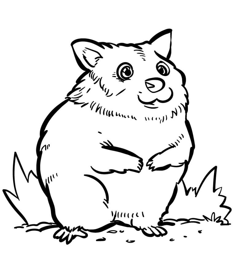 Lieblicher Hamster ausmalbilder