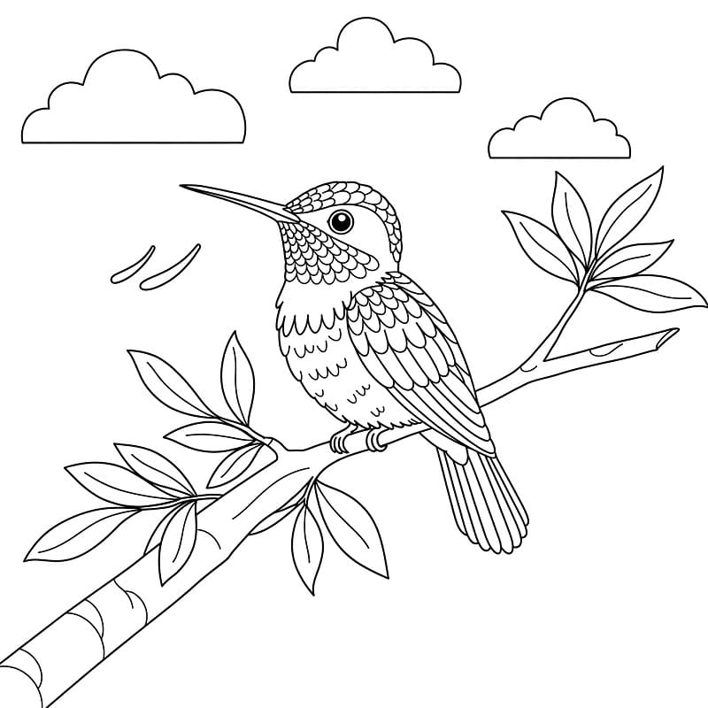 Lieblicher Kolibri ausmalbilder