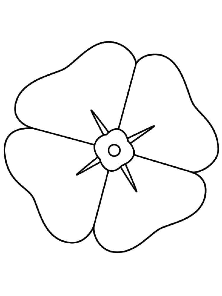 Mohnblume Bild ausmalbilder
