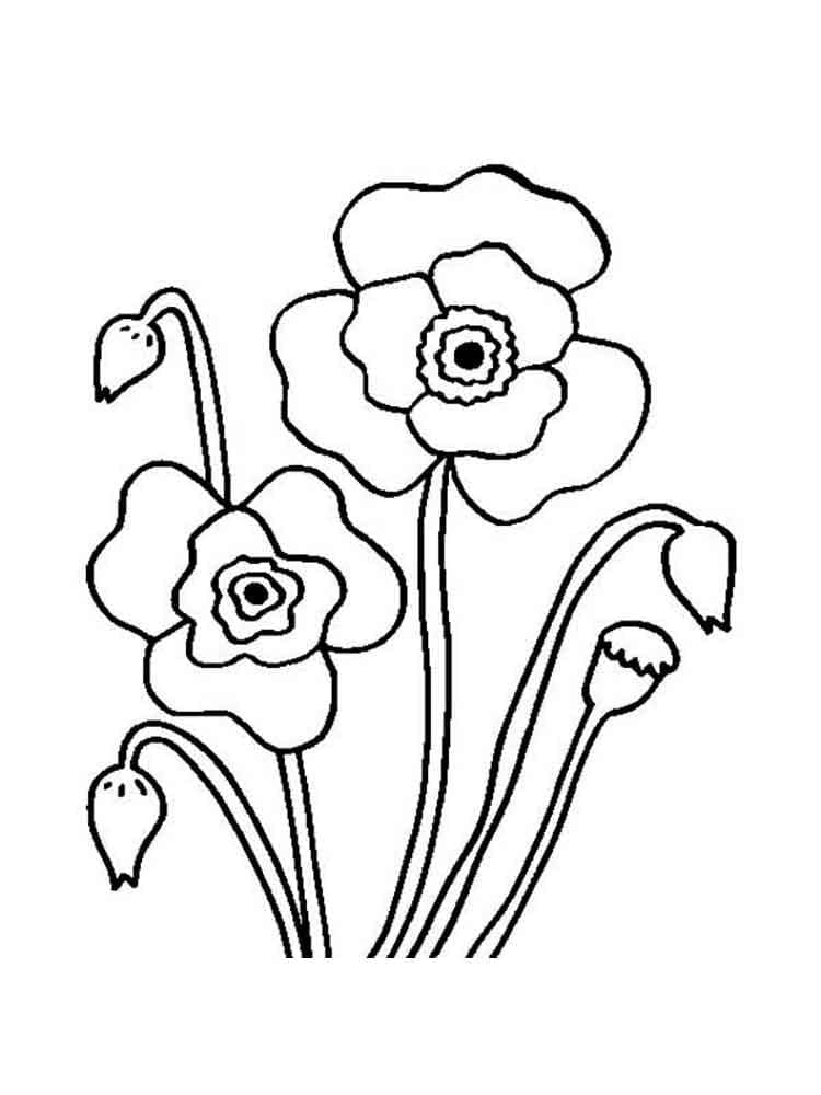 Mohnblumen ausmalbilder