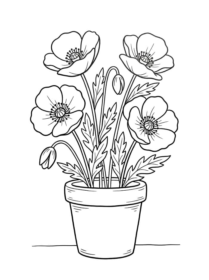 Mohnblumen im Blumentopf ausmalbilder