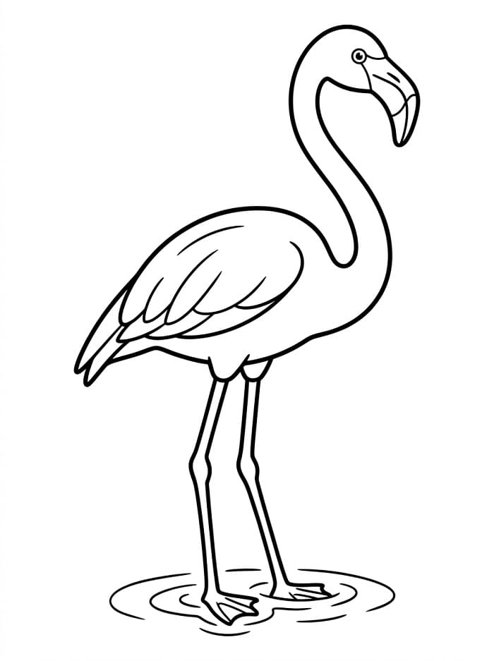 Netter Flamingo ausmalbilder