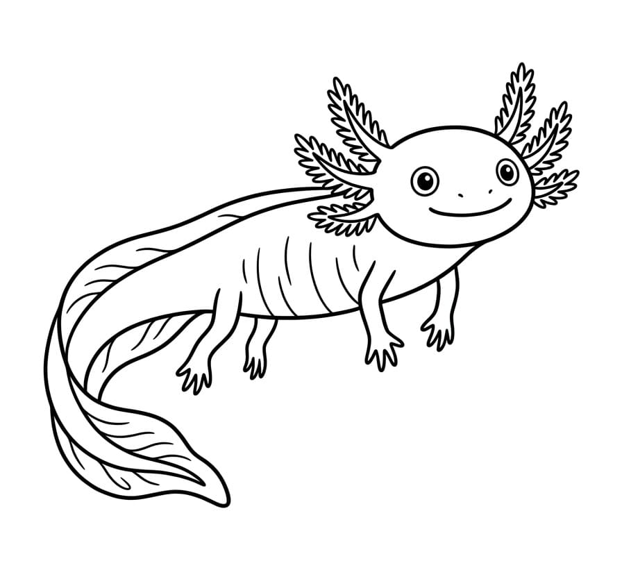 Niedlicher Axolotl ausmalbilder
