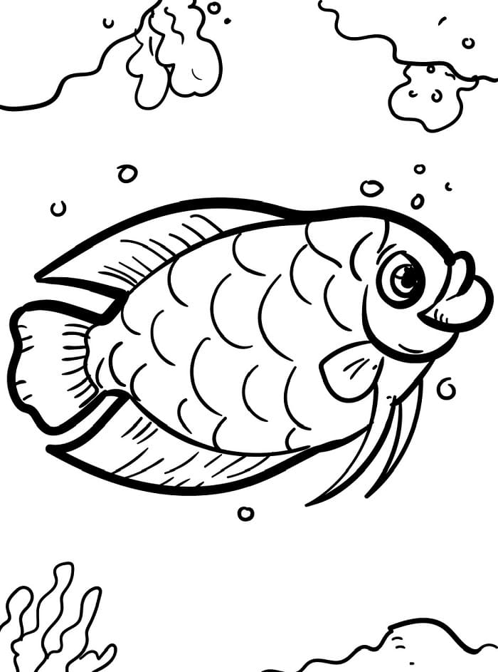 Niedlicher Fisch ausmalbilder