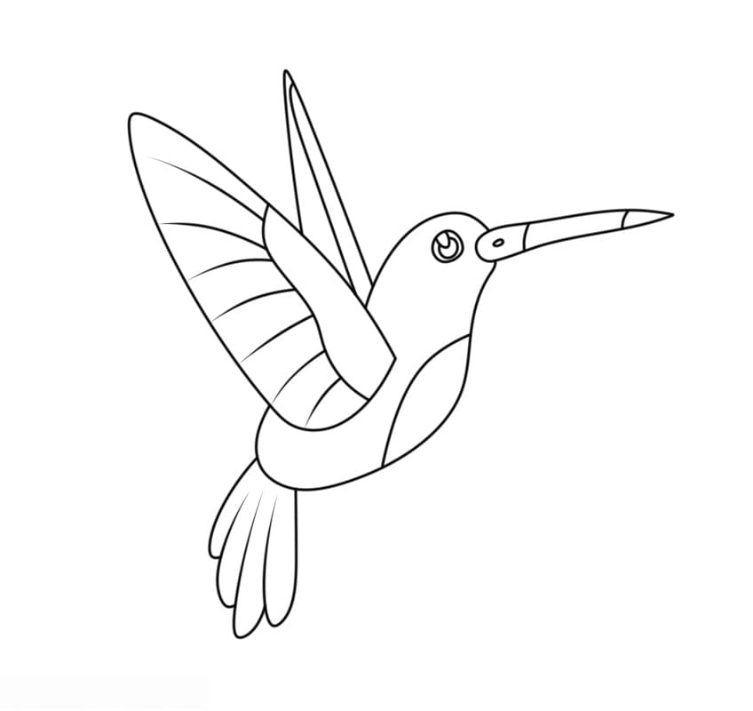 Niedlicher Kolibri ausmalbilder