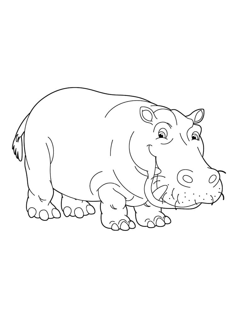 Nilpferd (2) ausmalbilder