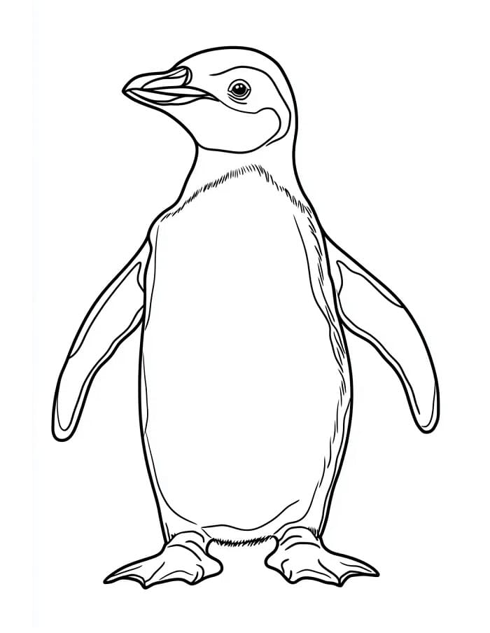 Pinguin Bild ausmalbilder