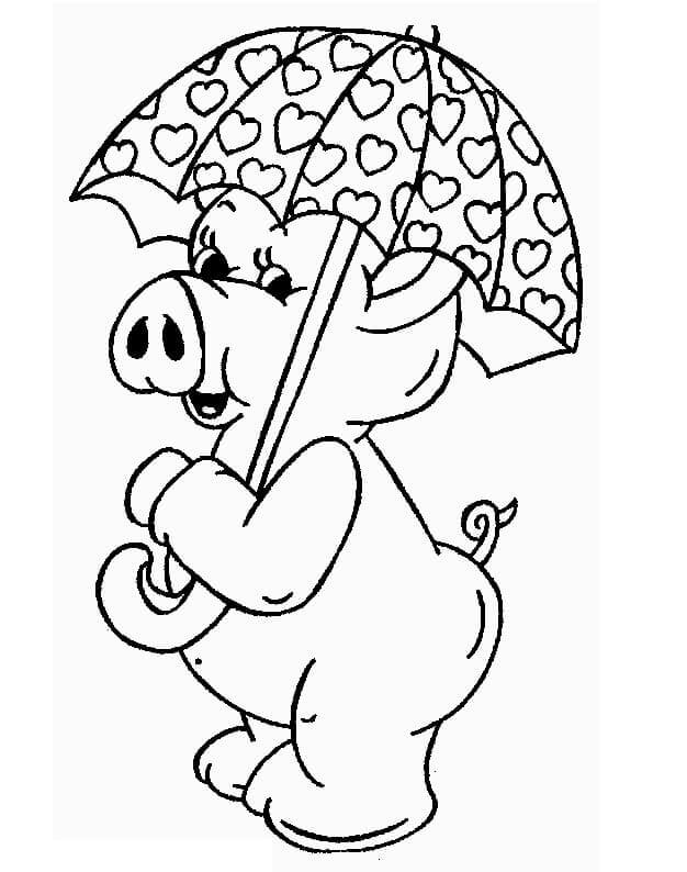 Regenschirm für Regen
