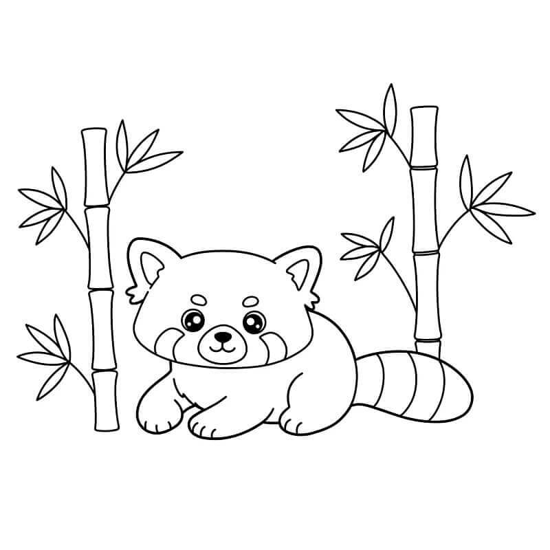Roter Panda gratis