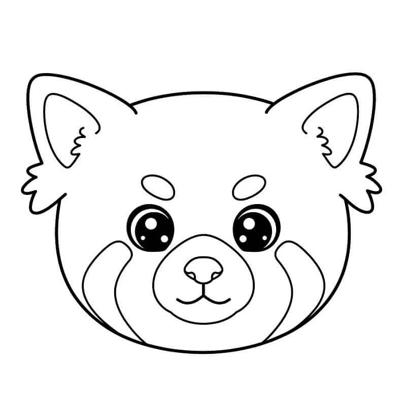 Roter Panda kostenlos