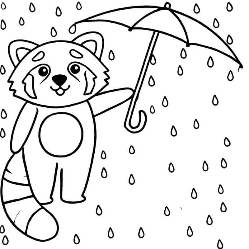 Roter Panda zum Drucken