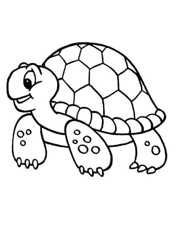 Schildkröte (1) ausmalbilder