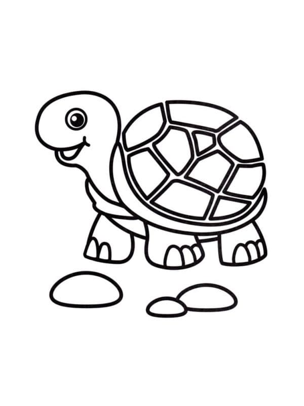 Schildkröte (6) ausmalbilder