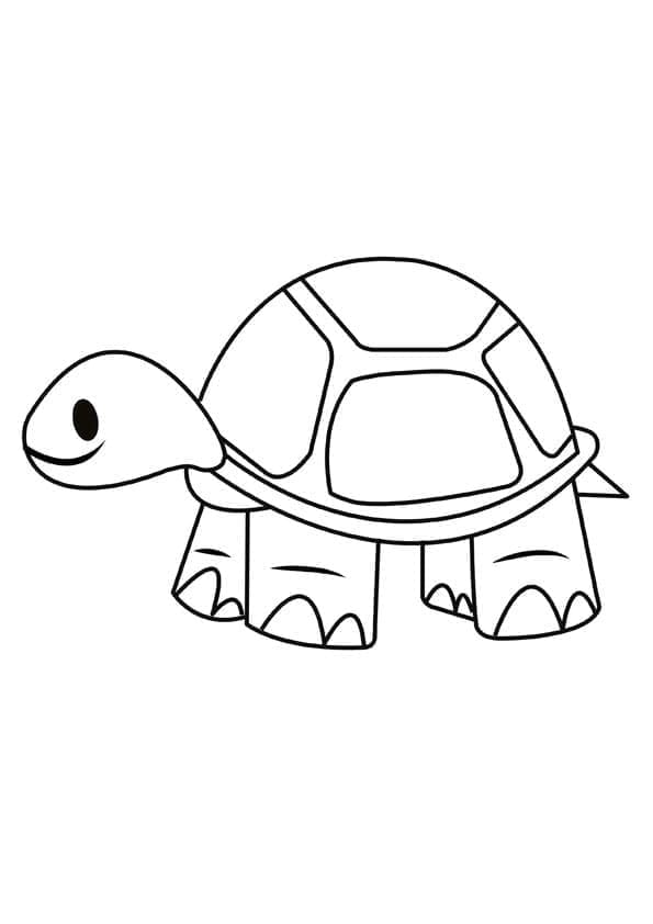 Schildkröte (8) ausmalbilder