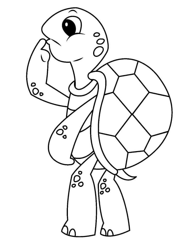 Schildkröte Ausmalbild ausmalbilder