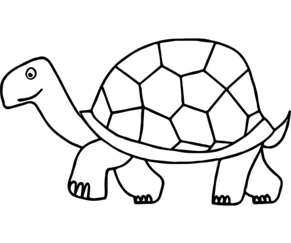 Schildkröte für 2-jährige Kinder ausmalbilder