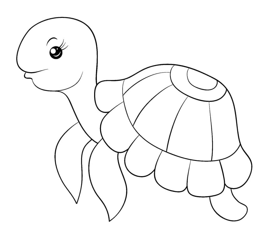 Schildkröte kostenlos für Kinder ausmalbilder