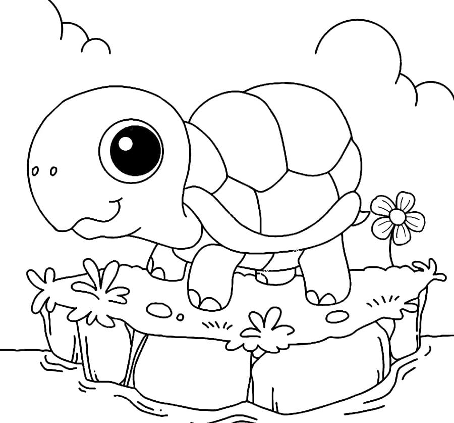 Schildkröten-Malvorlage für Kinder ausmalbilder