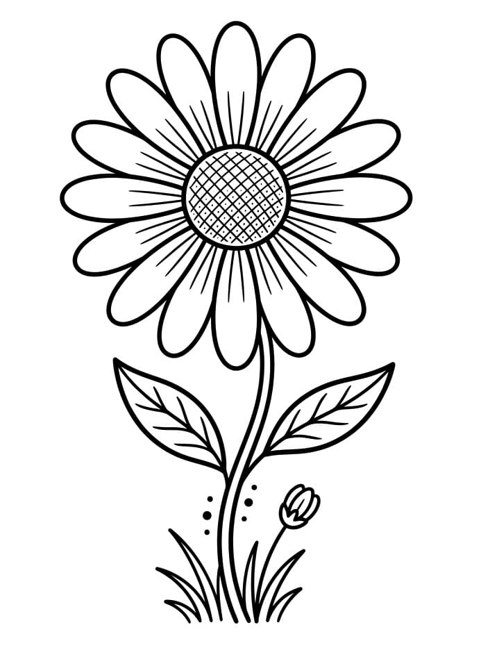Gänseblümchen ausmalbilder