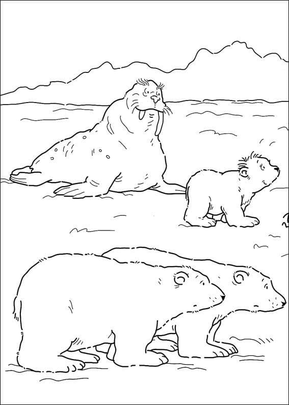 Schöner Der kleine Eisbär ausmalbilder