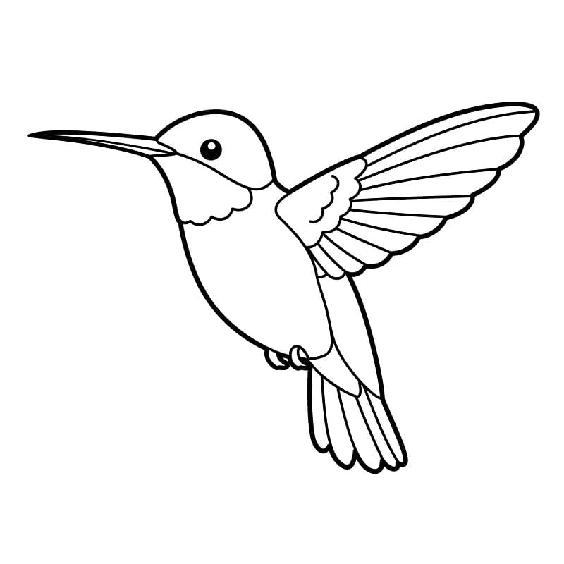 Schöner Kolibri ausmalbilder